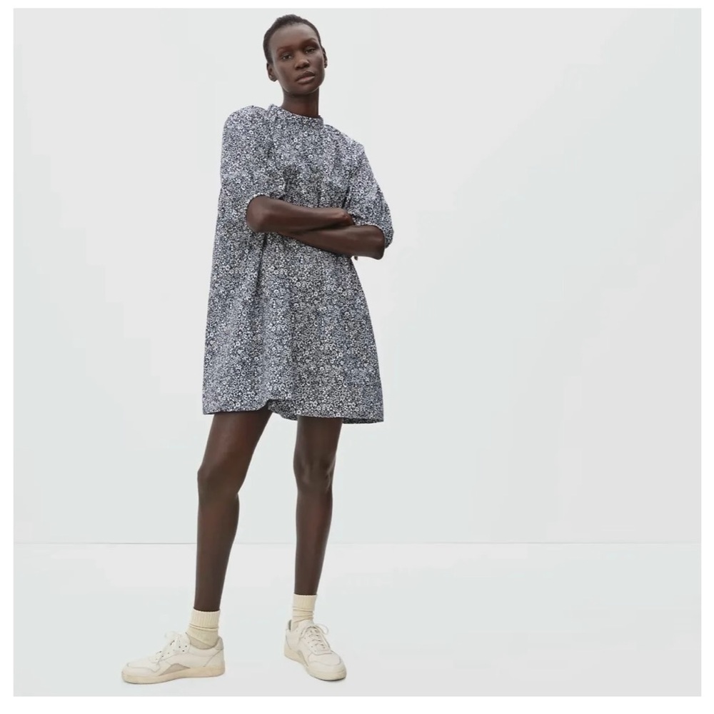 Everlane Dress